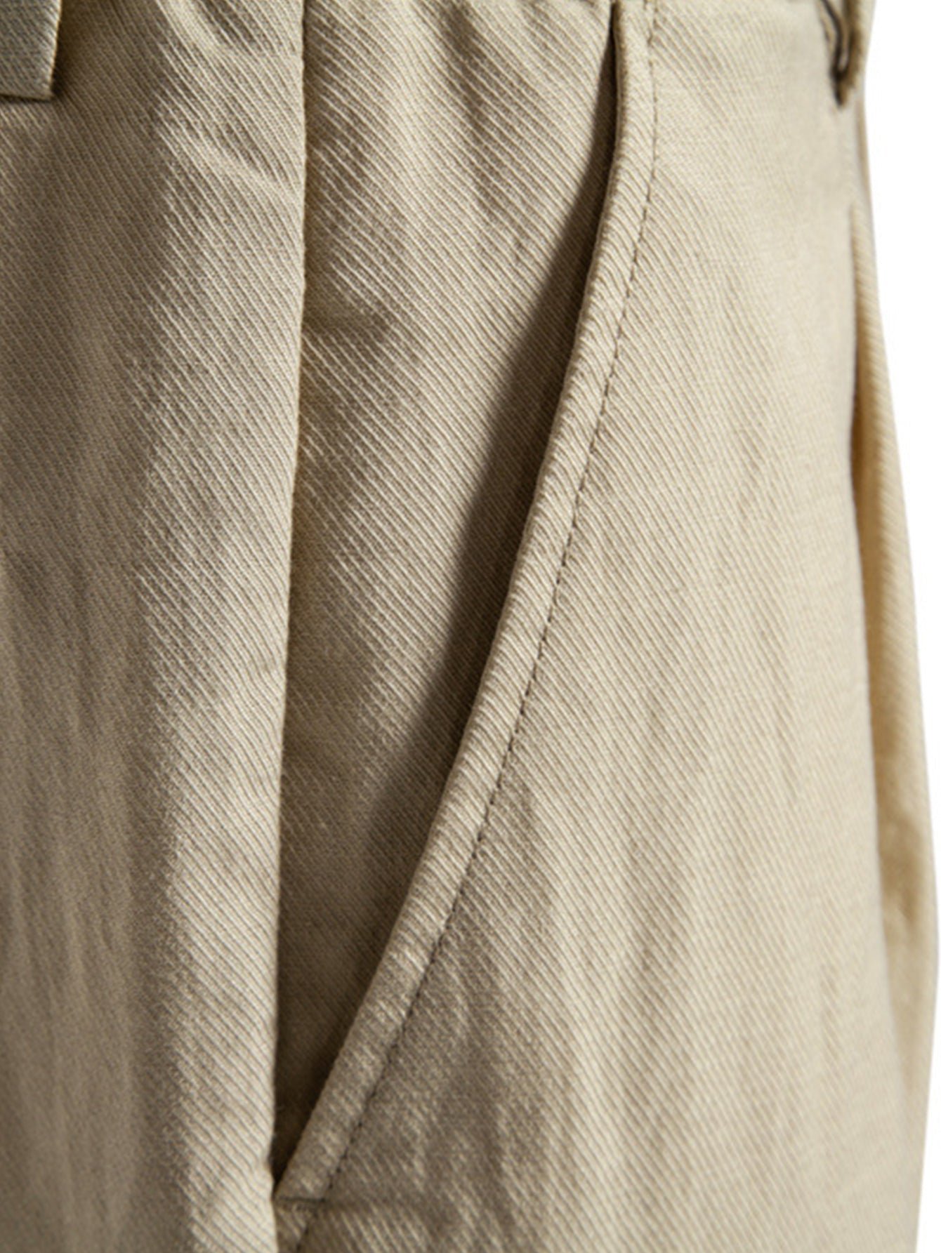 Relaxed Pleated Tailored Shorts