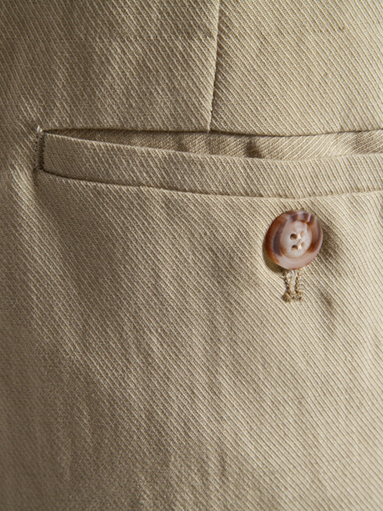 Relaxed Pleated Tailored Shorts